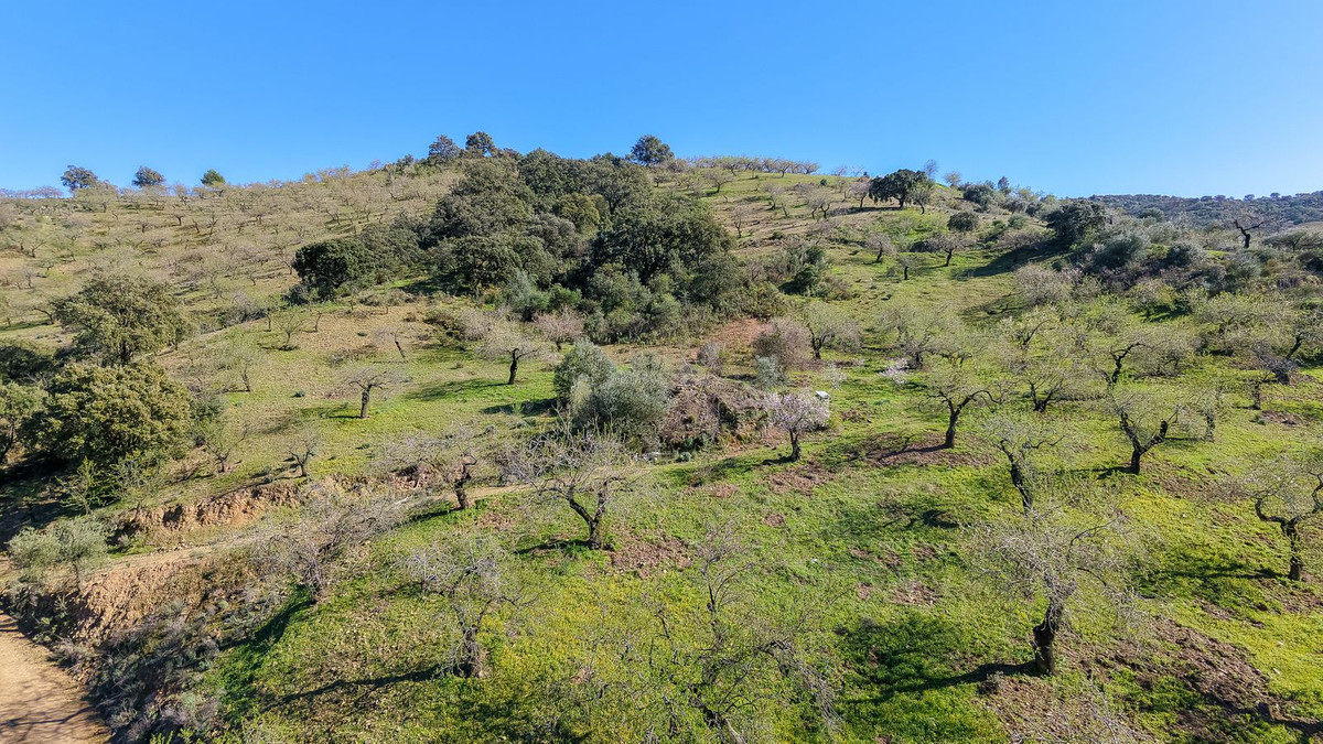 Málaga